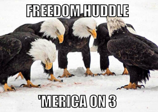 Illustration for article titled FREEDOM POST 2015